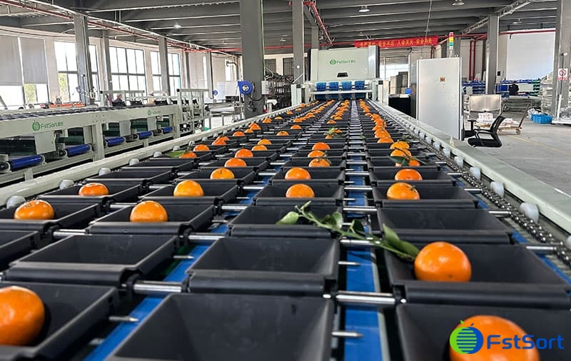 images/1692003194498citrus garding color machine.jpg